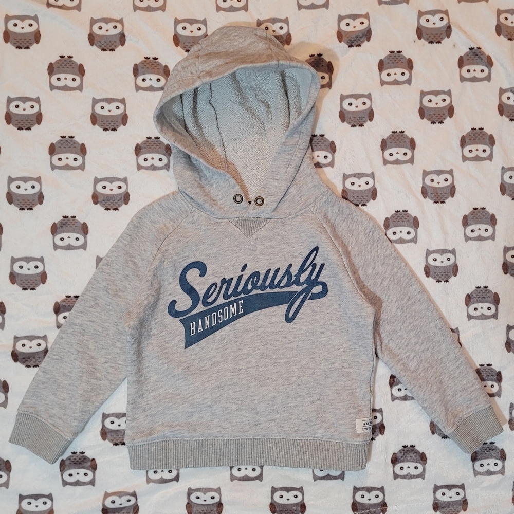 $1 | 18m | "Seriously Handsome" Hoodie/Sweater